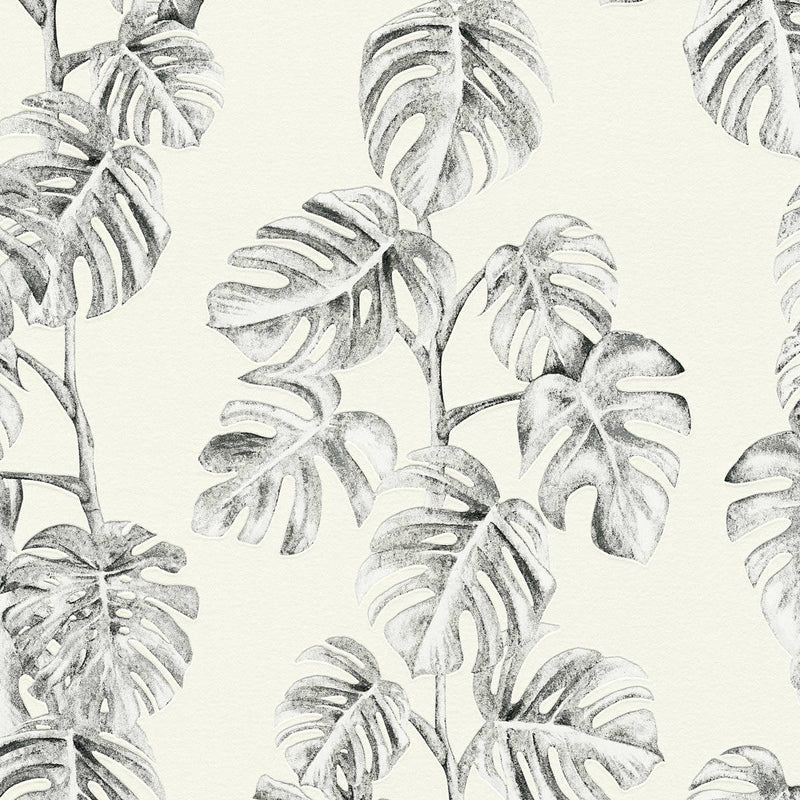 Monstera Vine Wallpaper - 2 Colours