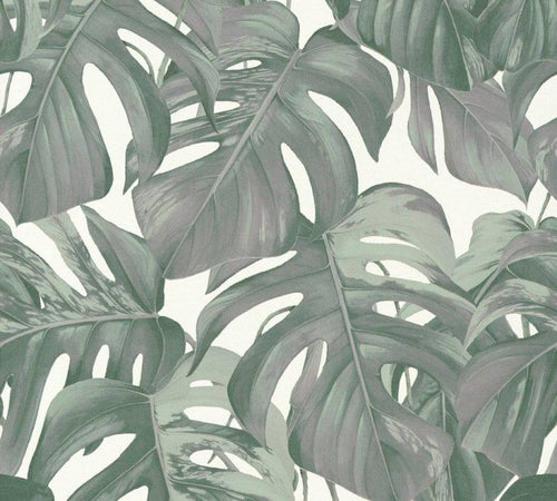 Muted Shades - Monstera Wallpaper
