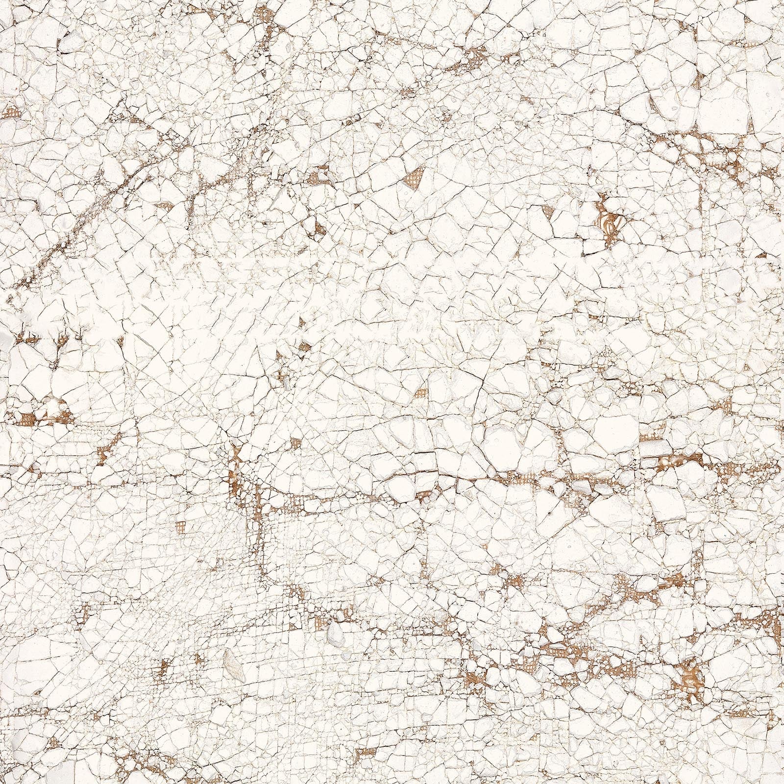 Nacho Carbonell -Cracked Plaster Wallpaper White NZ-Wallpaper
