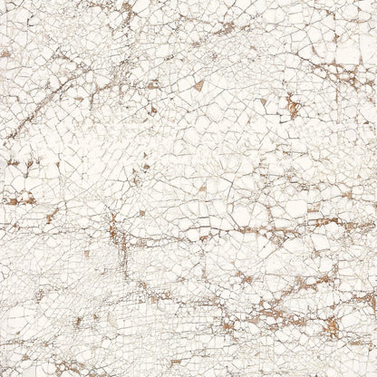 Nacho Carbonell -Cracked Plaster Wallpaper White NZ-Wallpaper
