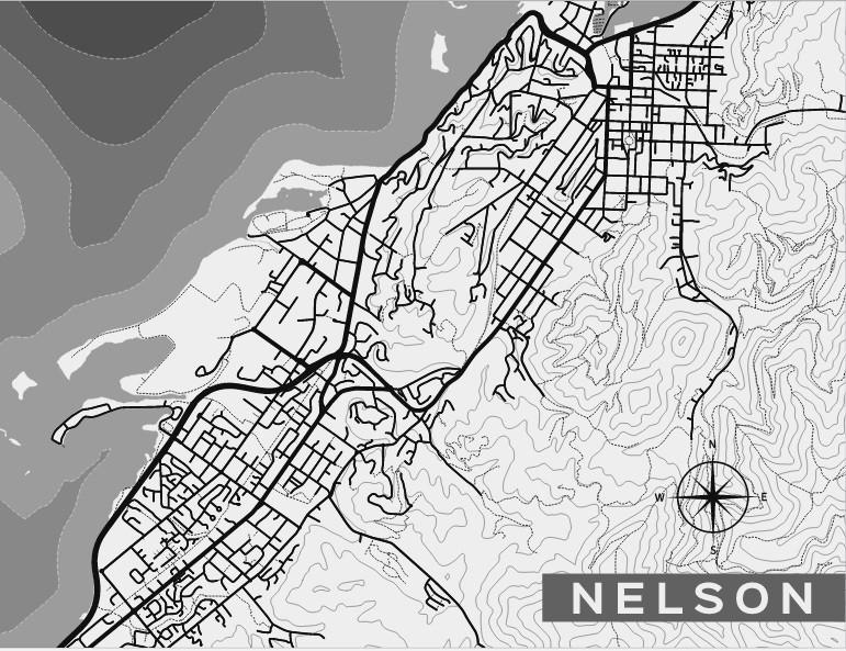 Nelson City Map Wallpaper - Newsprint Colour