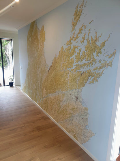 Nelson Map - Mural Wallpaper