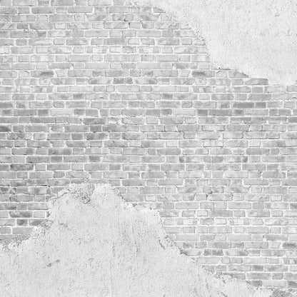 Old Brick Wall Mural