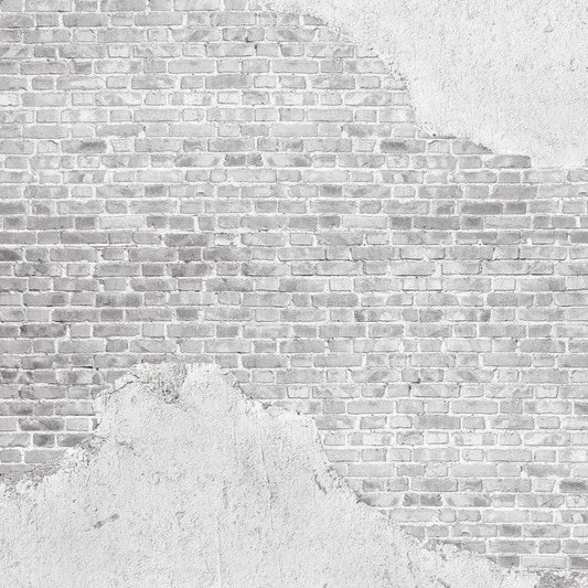 Old Brick Wall Mural