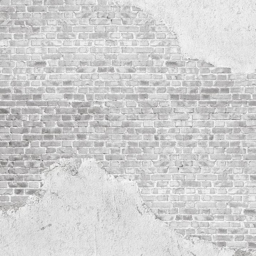 Old Brick Wall Mural