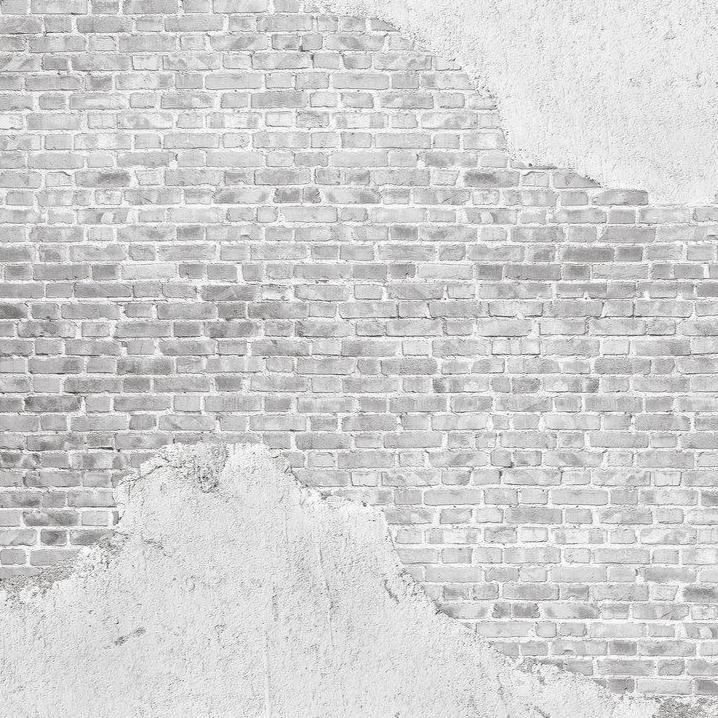 Old Brick Wall Mural