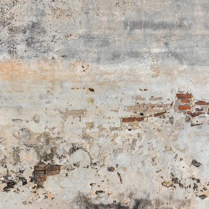 Old Wall Mural Wallpaper