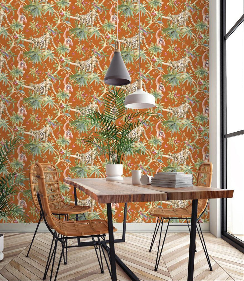Orange Wallpaper - Samroze