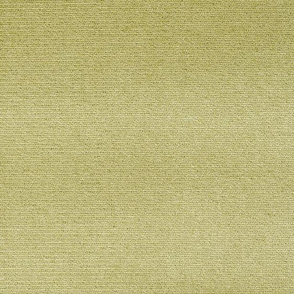 Outdoor Velvet Fabric - Kelp