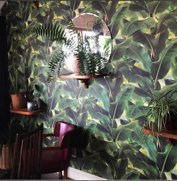 Palm Leaf - Papamoa Beach Tavern