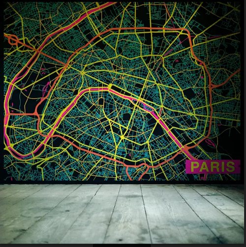 Paris City Map Mural - Multicoloured