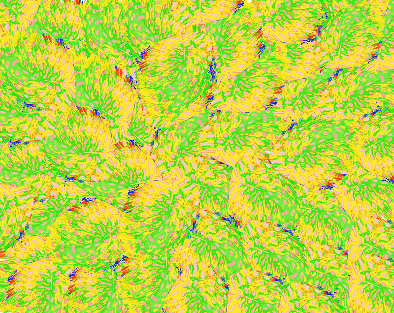 Pea Hen Feather Wallpaper - Green Yellow