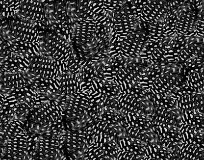 Pea Hen Feather Wallpaper - Greyscale