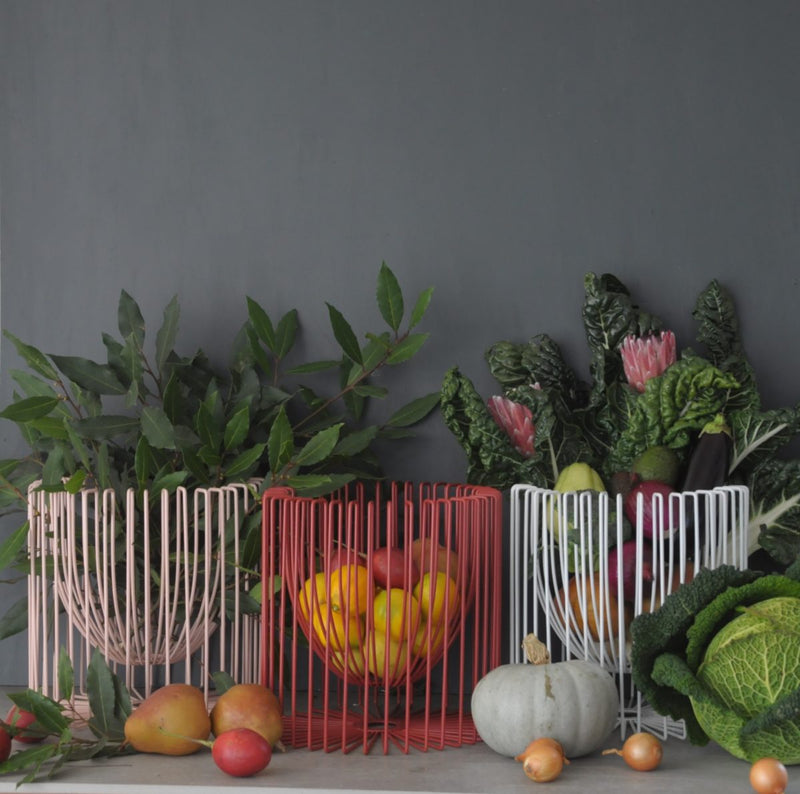 Plant holder- Homeware NZ-Homeware