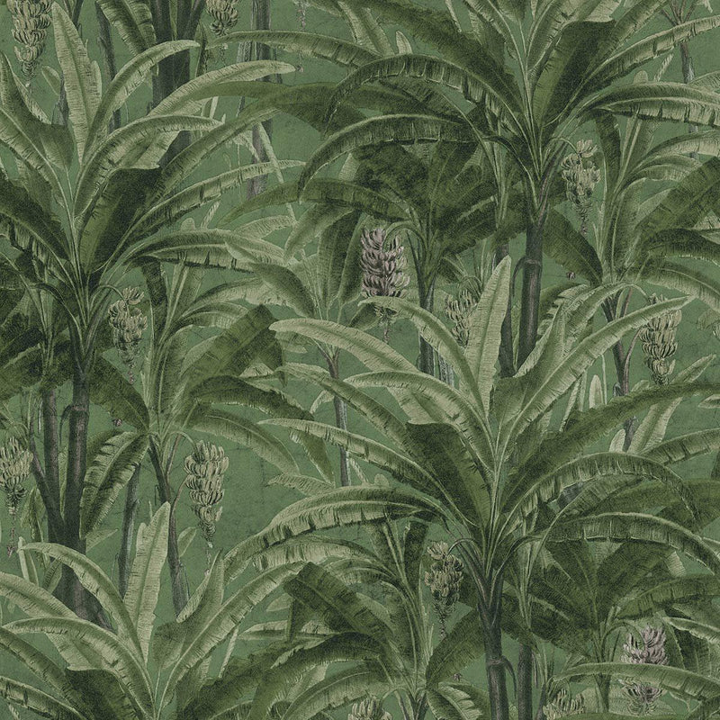 Plantation Wallpaper - 2 Colours - Discontinuing