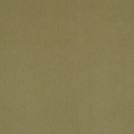 Plush Velvet Fabric - Celery