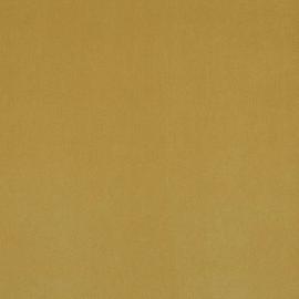 Plush Velvet Fabric - Olive
