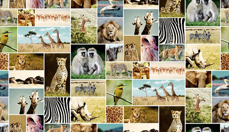 Africa Mural Wallpaper