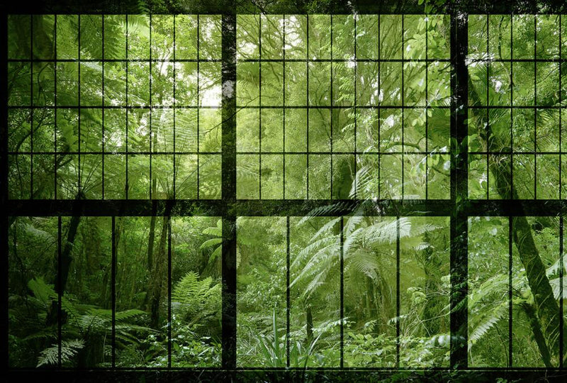 Rainforest 2 - Mural Wallpaper
