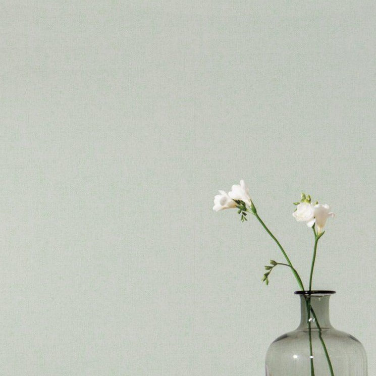 Sage Green Plain Wallpaper