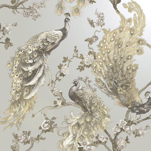 Sana Peacock Wallpaper - 4 Colours NZ-Wallpaper