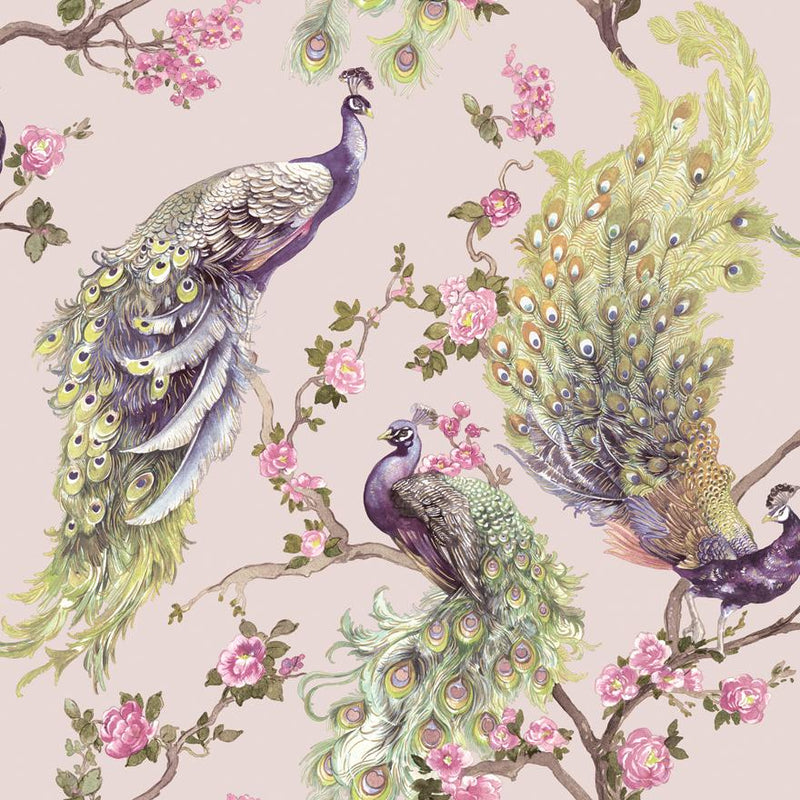 Sana Peacock Wallpaper - 4 Colours NZ-Wallpaper