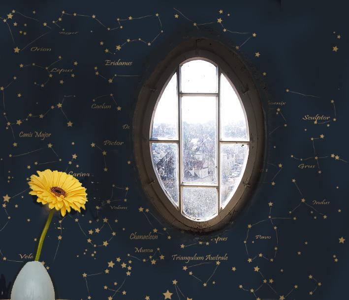 Southern Hemisphere Star Wallpaper