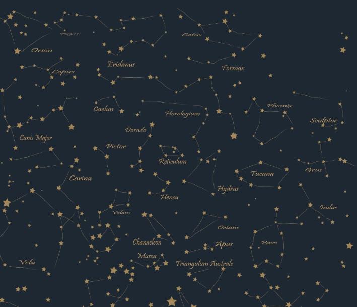 Southern Hemisphere Constellation Mural
