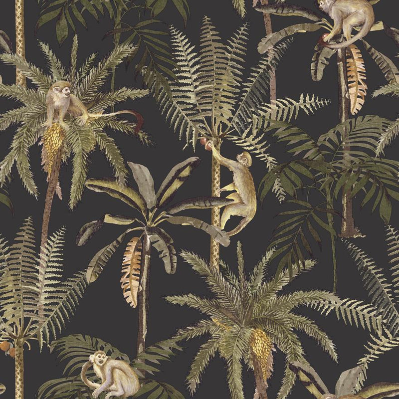 Spider Monkey Wallpaper-Black