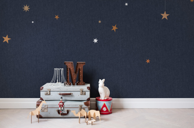 Stargazing Mural - Blue