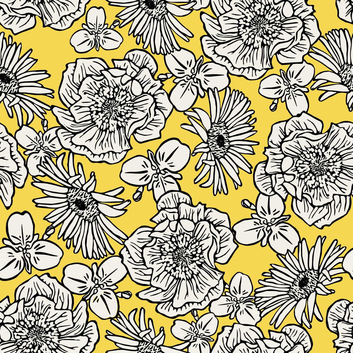 Mackenzie Country Wallpaper - Sunshine - 1 Roll Sale
