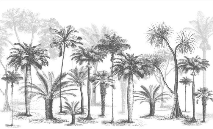 Tropical Coconut Tree Wallpaper Mural