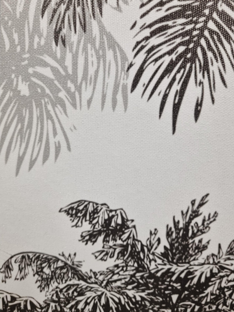 Tropical Coconut Tree - Wallpaper Mural NZ-Mural