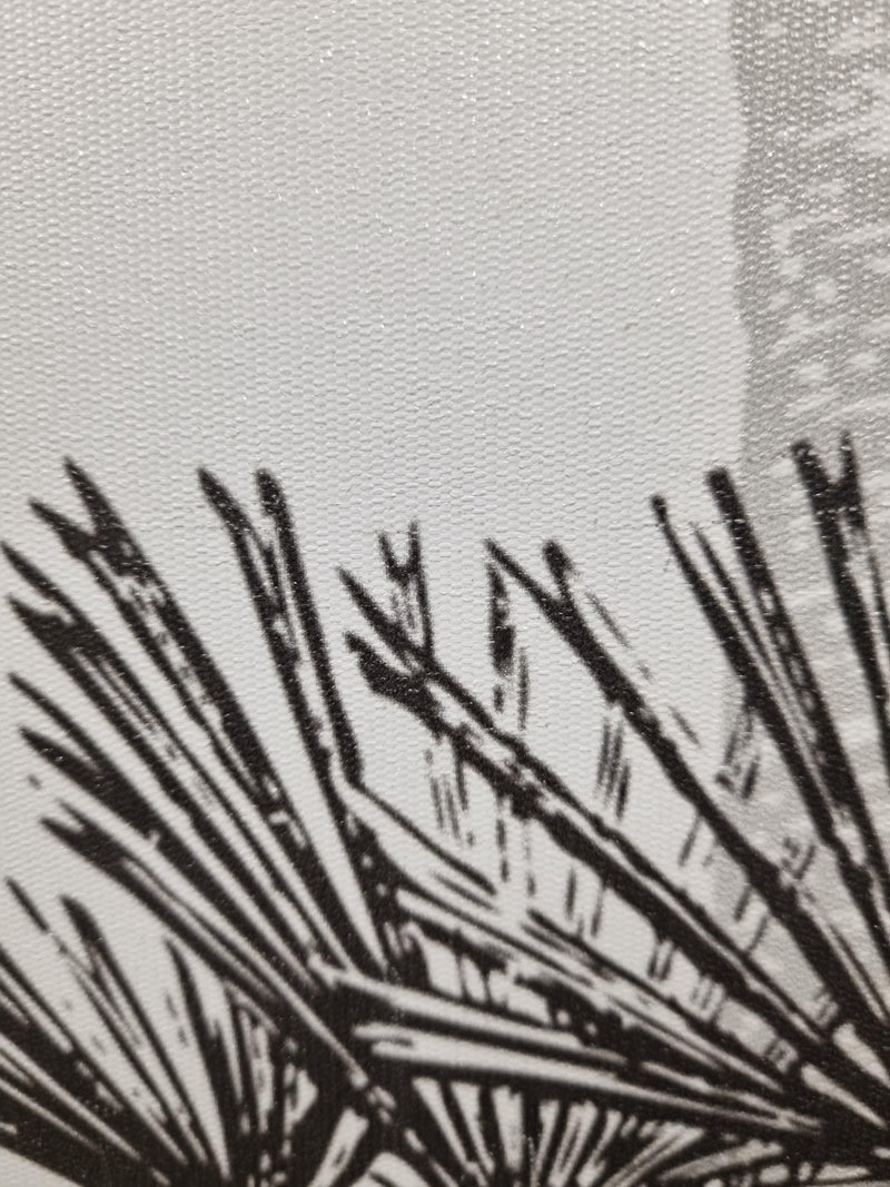 Tropical Coconut Tree - Wallpaper Mural NZ-Mural