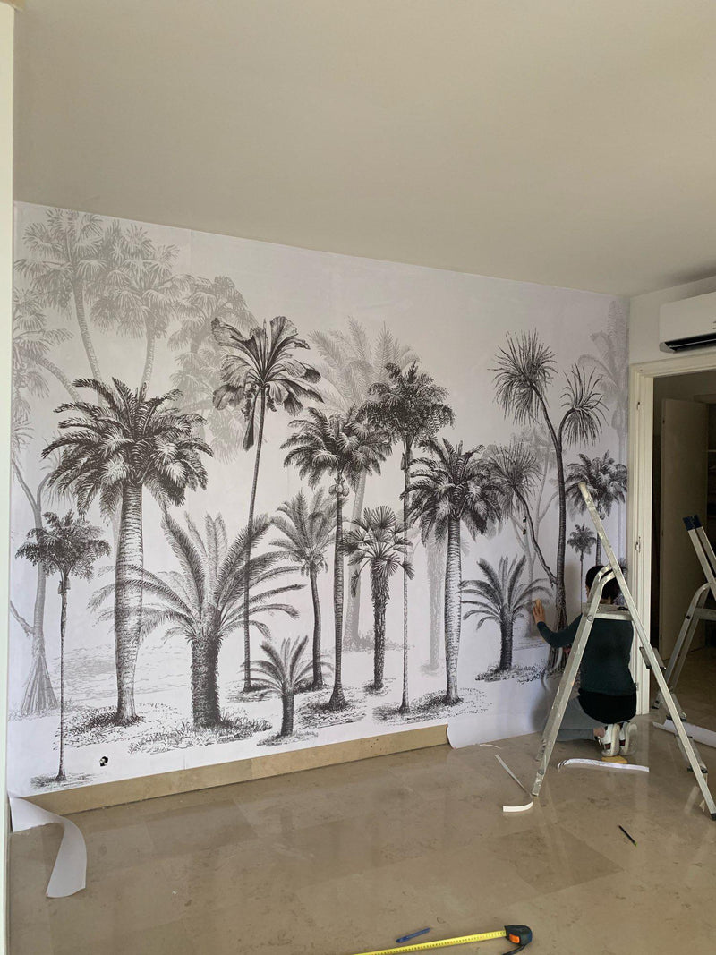 Tropical Coconut Tree - Wallpaper Mural NZ-Mural