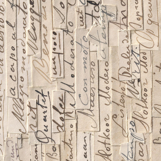 Typography Remixed Wallpaper by Arthur Slenk NZ-Wallpaper