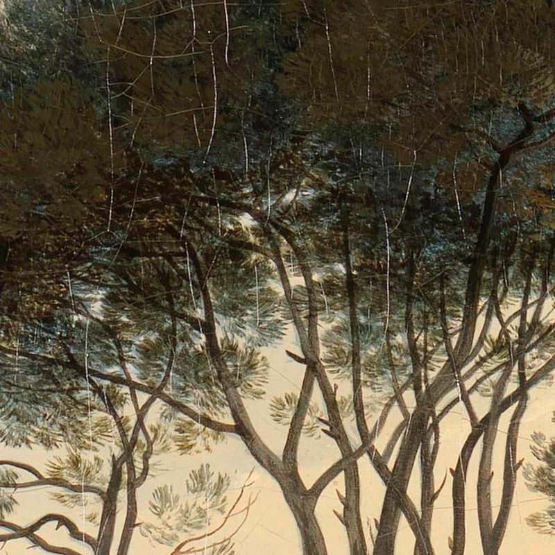 Umbrella Pines Mural wallpaper - 5 different sizes NZ-Wallpaper
