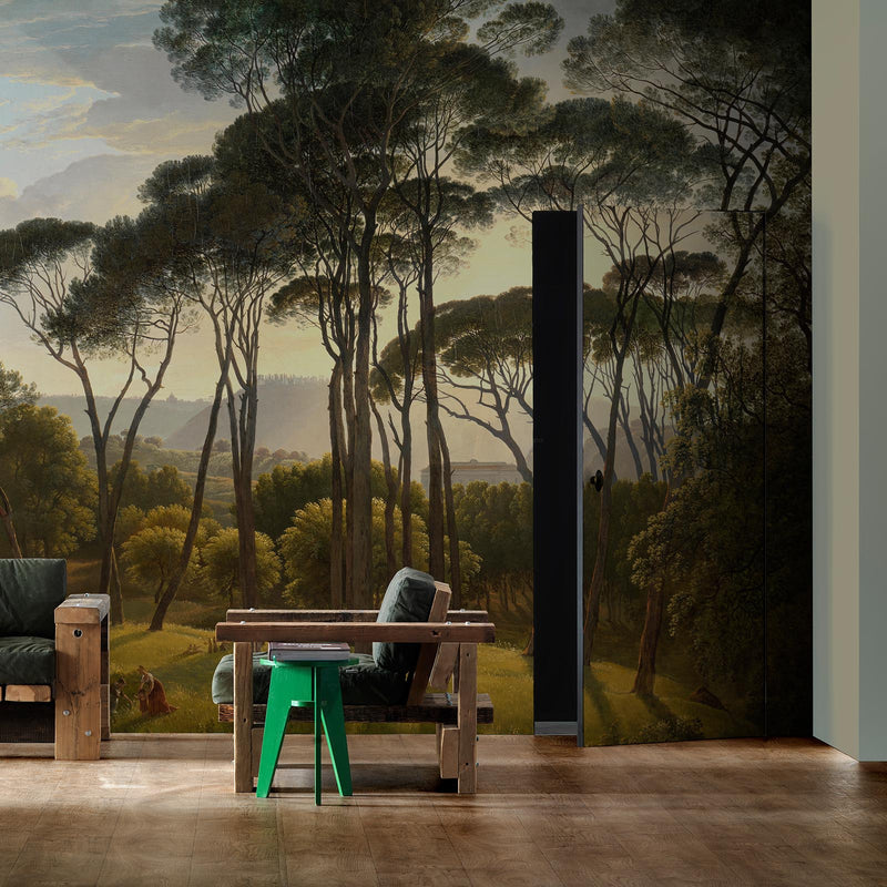 Umbrella Pines Mural wallpaper - 5 different sizes NZ-Wallpaper
