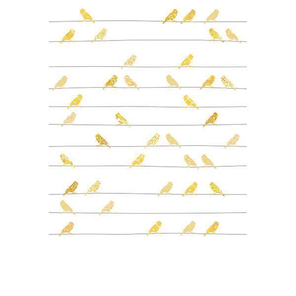 Vintage Birds Mural - 3 Colours NZ-Mural