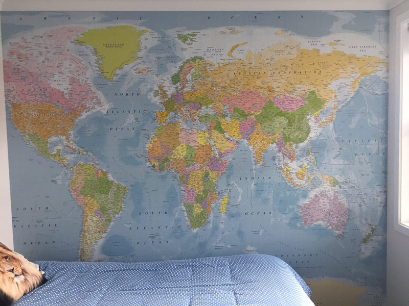 World Map - Mural - Customer photos