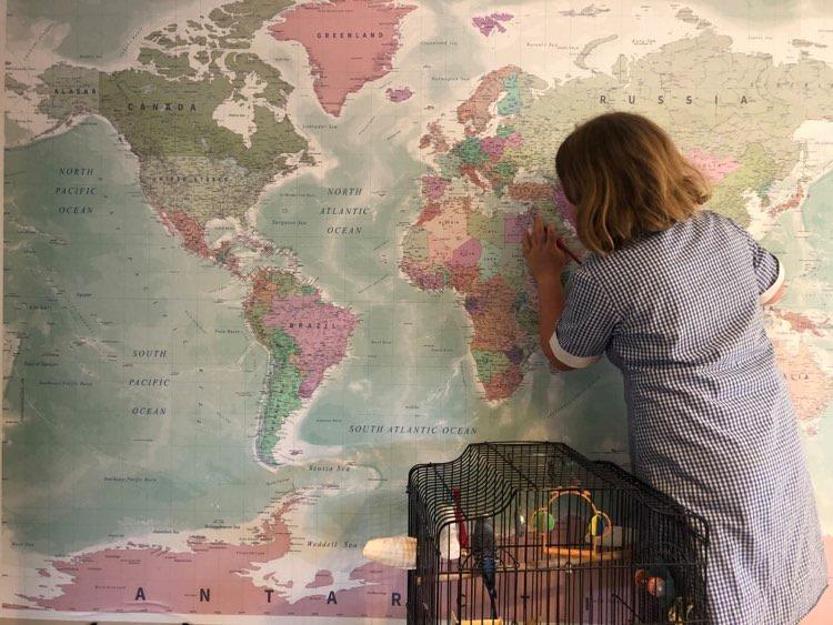 World Map Mural Wallpaper - Green