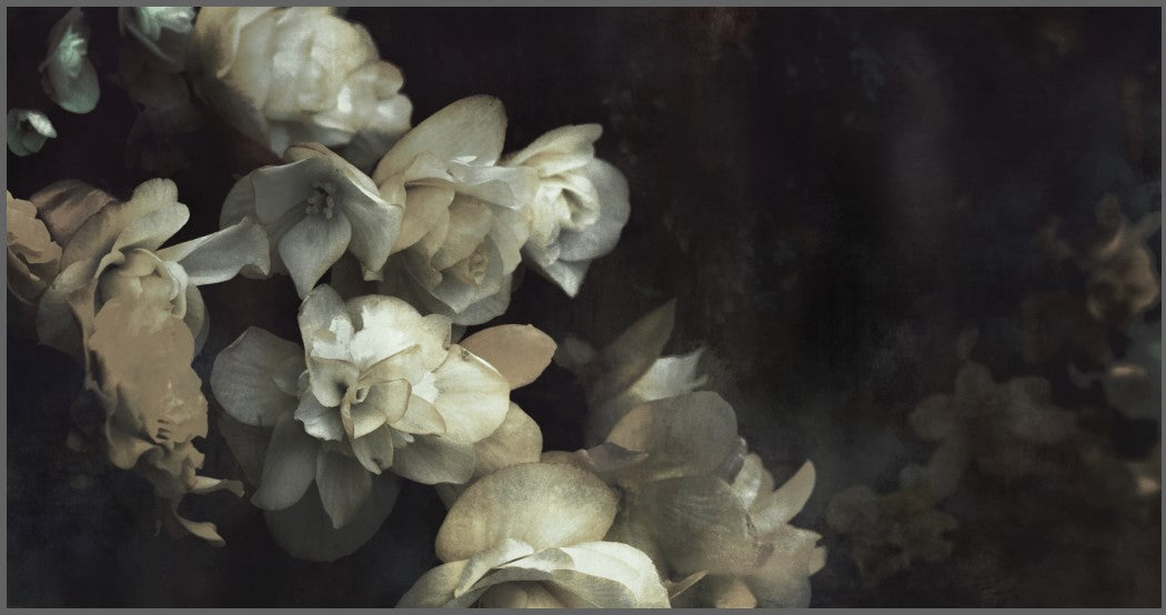 Zarafa - Custom Sized Wallpaper Mural (per m2)