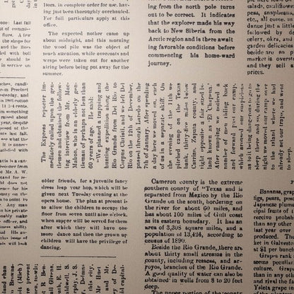 Wall Vinyl Wallaper- Editorial Daily  - 4 colours