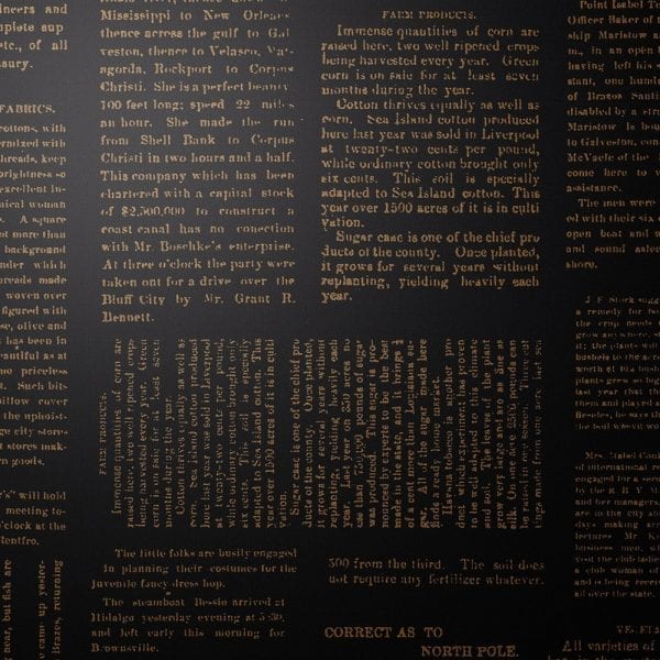 Wall Vinyl Wallaper- Editorial Daily  - 4 colours