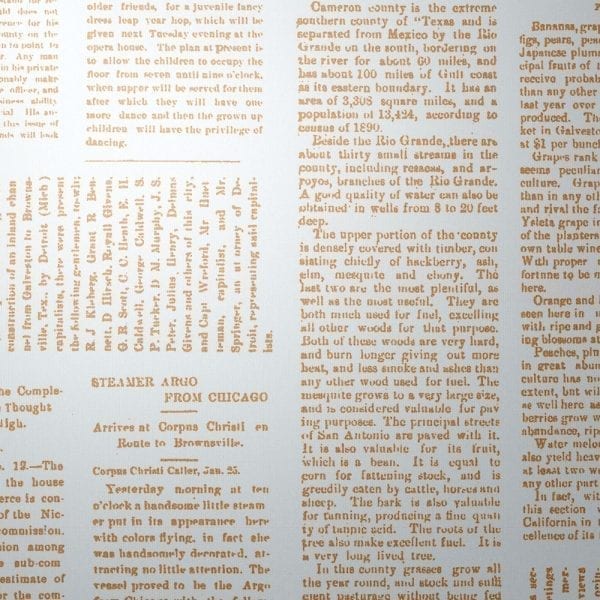Wall Vinyl Wallaper- Editorial Daily  - 4 colours