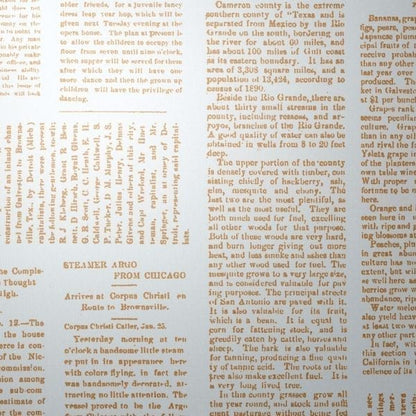 Wall Vinyl Wallaper- Editorial Daily  - 4 colours