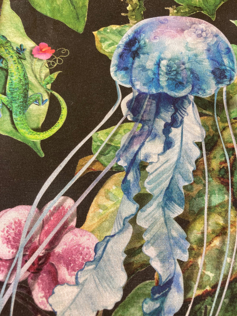 Jellyfish