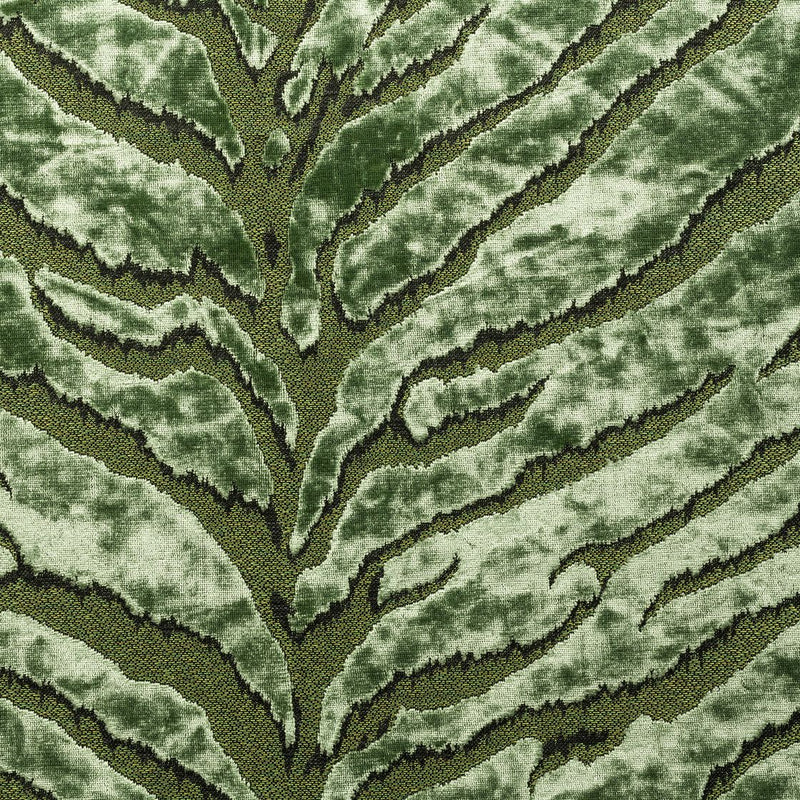 Bengal Tiger - Fabric