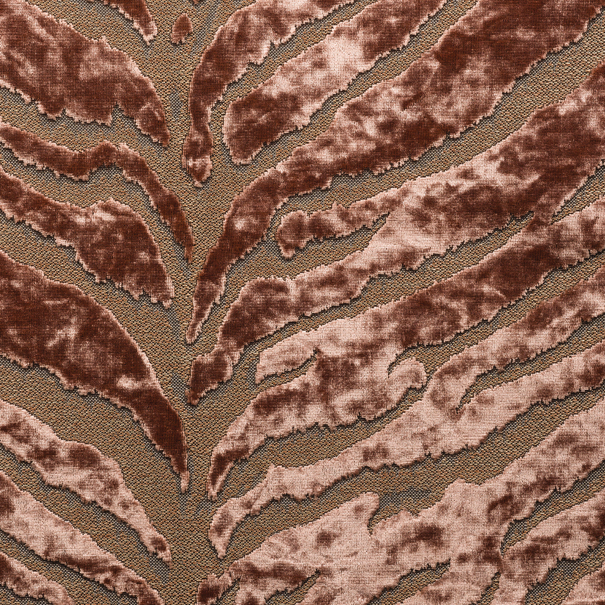 Bengal Tiger - Fabric