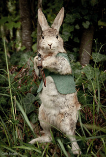 Banging Bunny - Fine Art Print